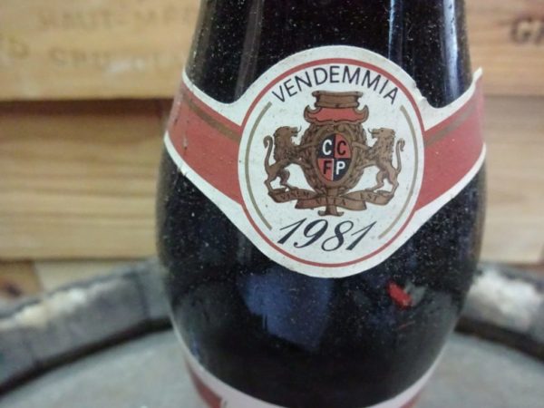 1981 wijn, wijn uit geboortejaar, origineel cadeau, beste wijncadeau, origineel huwelijkscadeau